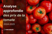 Analyse approfondie des prix de la tomate : étude complète des prix 2024-2025